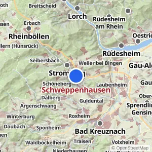 Kartenvorschau Schweppenhausen