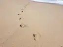 Auf-der-Suche!