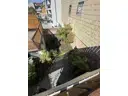 35 Garten von Terrasse aus gesehen