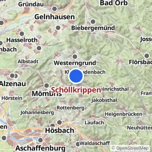 Kartenvorschau Schöllkrippen