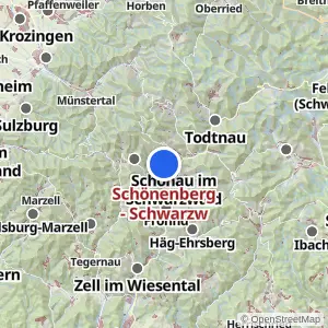 Kartenvorschau Schönenberg - Schwarzw