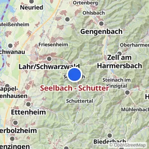 Kartenvorschau Seelbach - Schutter