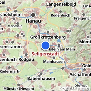 Kartenvorschau Seligenstadt