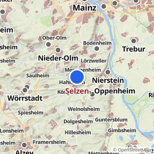 Kartenvorschau Selzen
