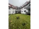 46 Gartenbereich