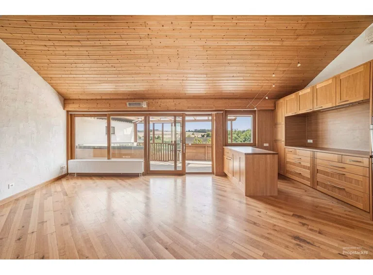 [KI] Wohn-/ Esszimmer, Küche, Blick nach draußen