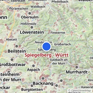 Kartenvorschau Spiegelberg - Württ