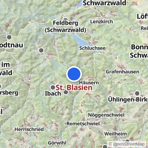 Kartenvorschau St. Blasien