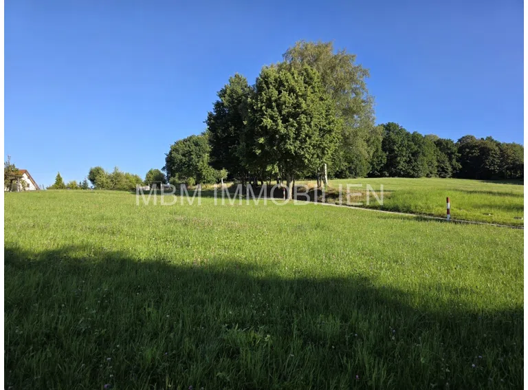 Blick vom Grundstück in die Natur