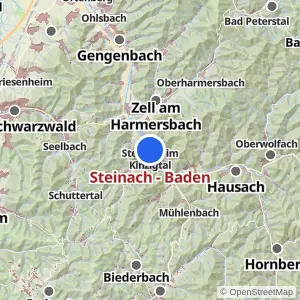 Kartenvorschau Steinach - Baden
