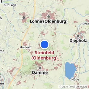 Kartenvorschau Steinfeld (Oldenburg)