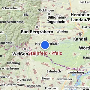 Kartenvorschau Steinfeld - Pfalz