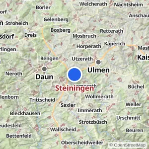 Kartenvorschau Steiningen