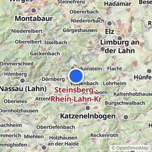 Kartenvorschau Steinsberg - Rhein-Lahn-Kr