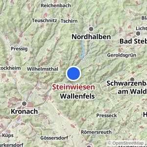 Kartenvorschau Steinwiesen