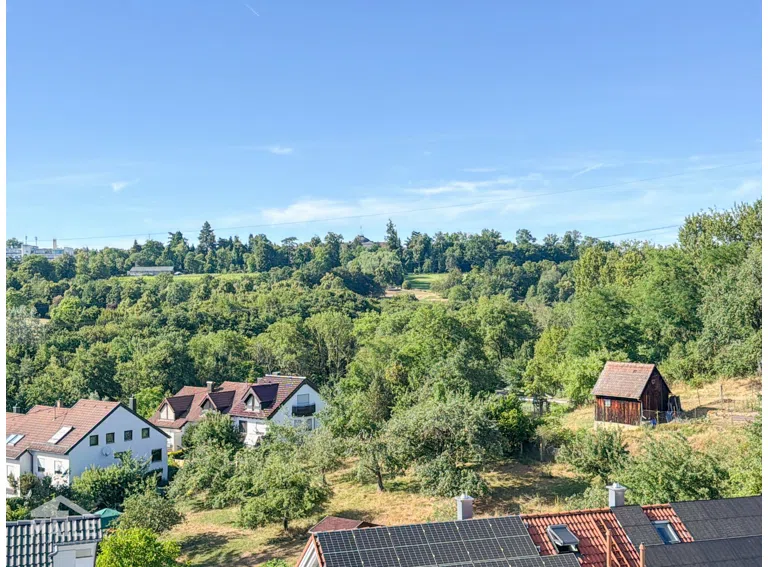 Ausblick