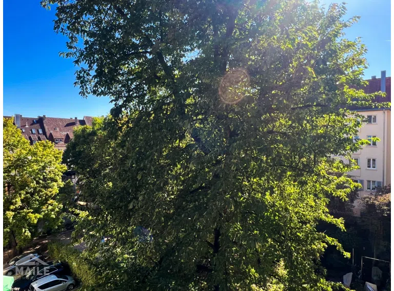 Ausblick vom Balkon