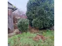 Gartenbereich