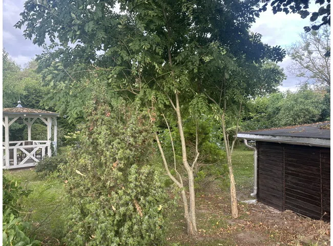 Pavillon/Geräteschuppen