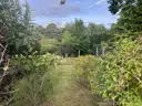 Grundstück