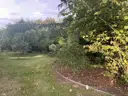 Grundstück