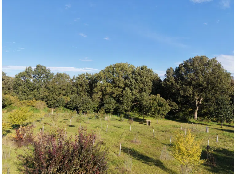 Blick auf die Obstwiese