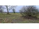 Weideland