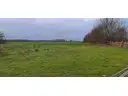 Weideland
