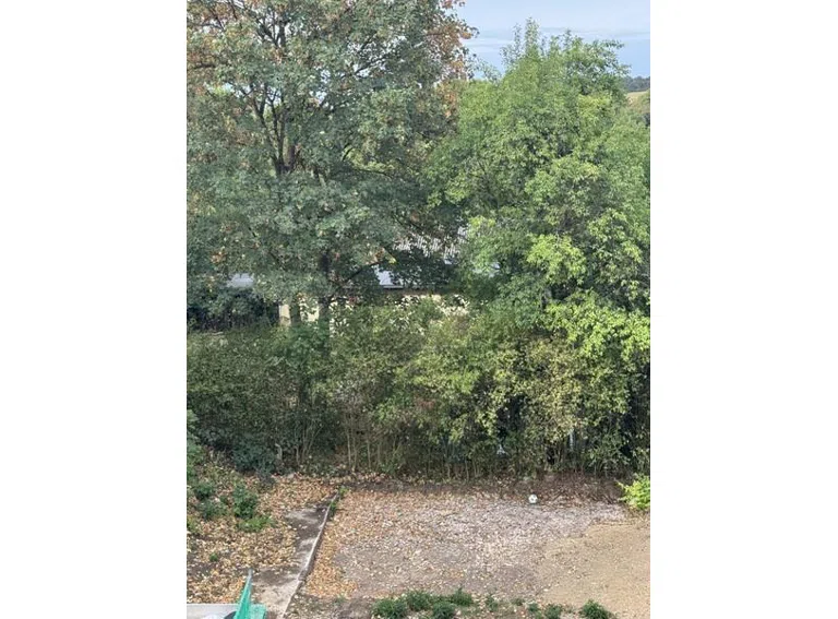 14 Blick in den Garten