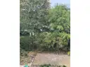 14 Blick in den Garten