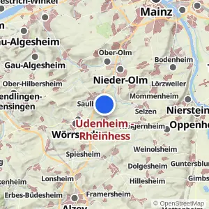Kartenvorschau Udenheim - Rheinhess