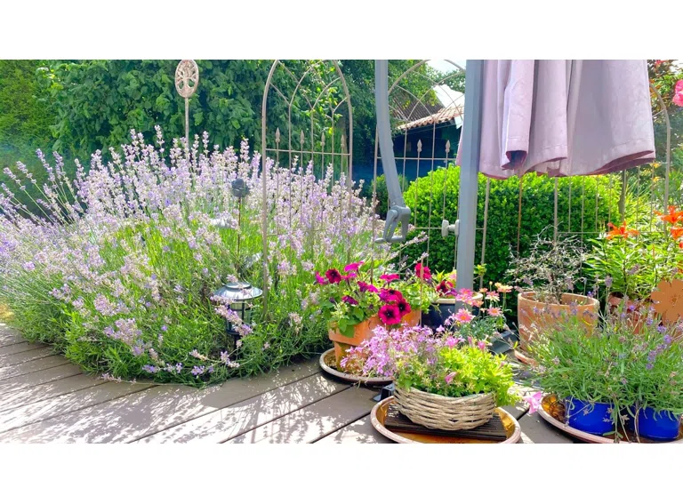 Blumenparadies