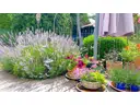 Blumenparadies