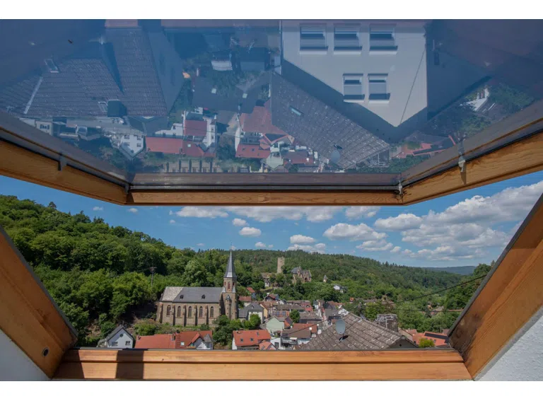 Blick