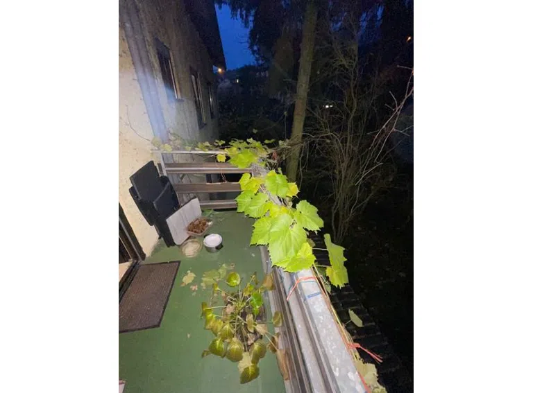 25 OG Balkon 2