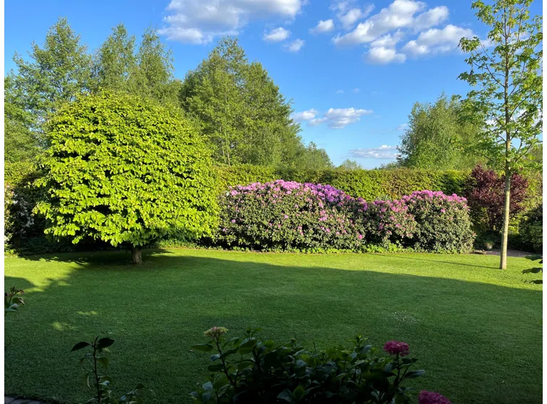 Blick auf das Grundstück