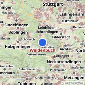 Kartenvorschau Waldenbuch
