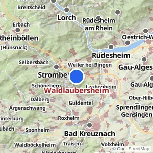 Kartenvorschau Waldlaubersheim