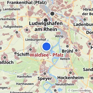 Kartenvorschau Waldsee - Pfalz