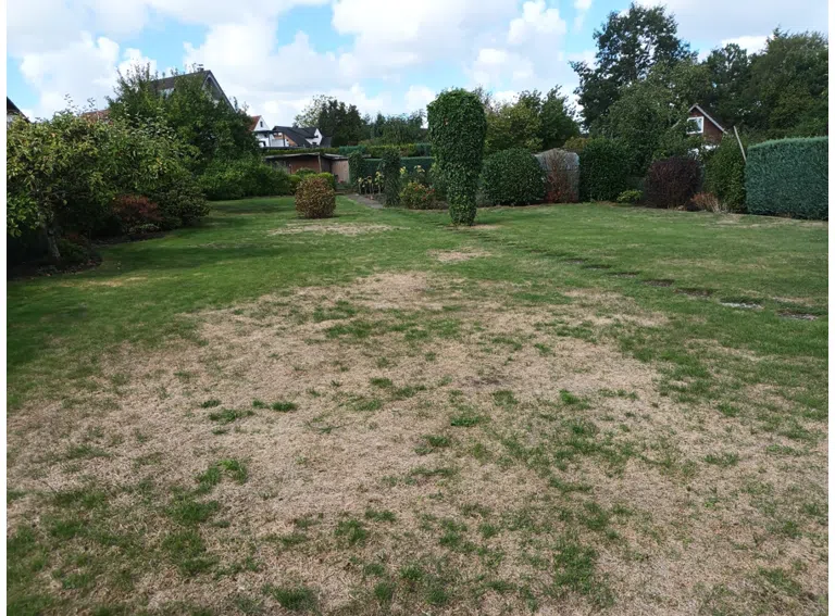 Grundstücksansicht