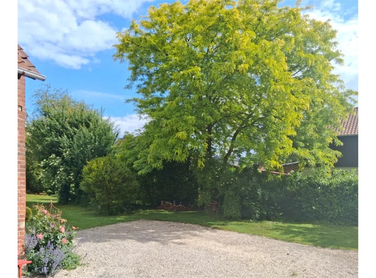 Garten neu
