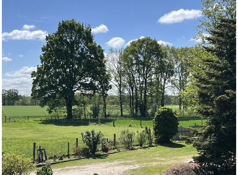 Ausblick