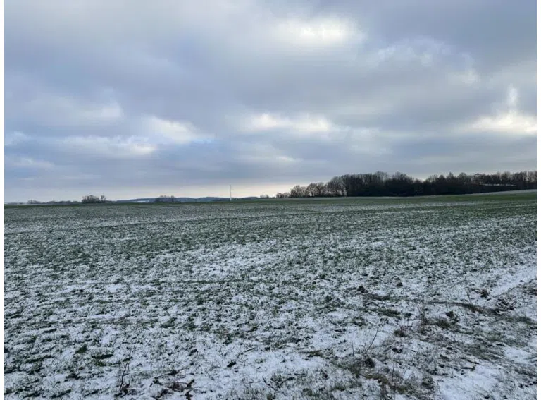 Umgebung