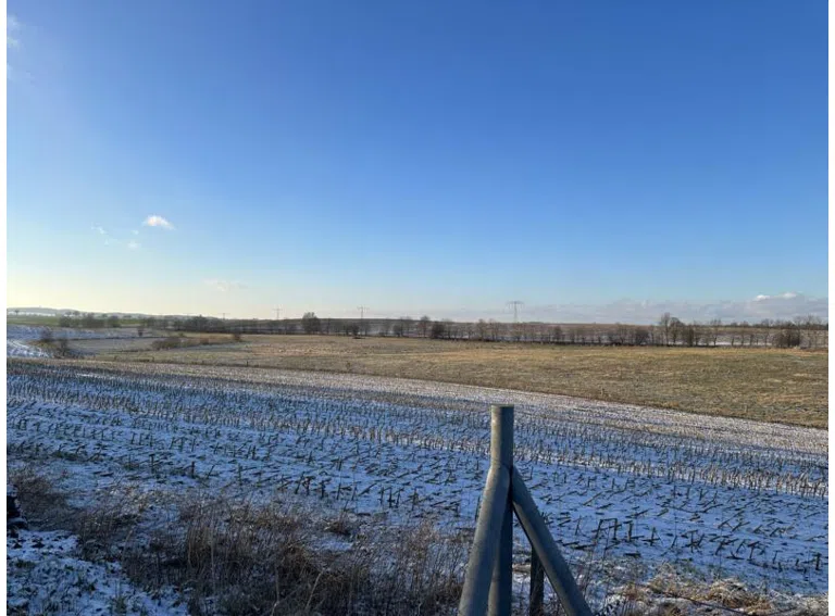 Fernblick