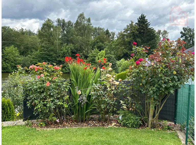 Garten Pflanzen