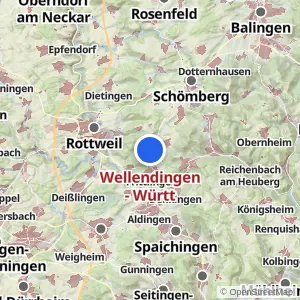 Kartenvorschau Wellendingen - Württ