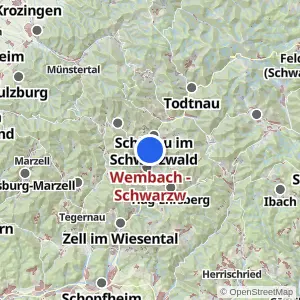 Kartenvorschau Wembach - Schwarzw