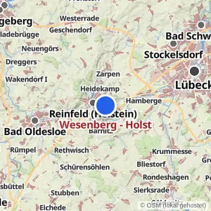 Kartenvorschau Wesenberg - Holst