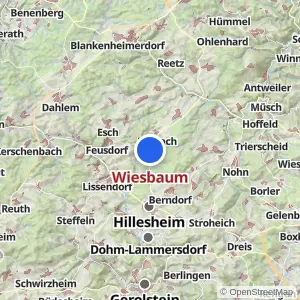Kartenvorschau Wiesbaum
