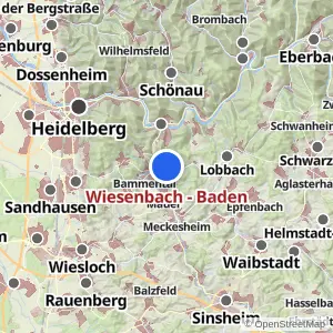 Kartenvorschau Wiesenbach - Baden